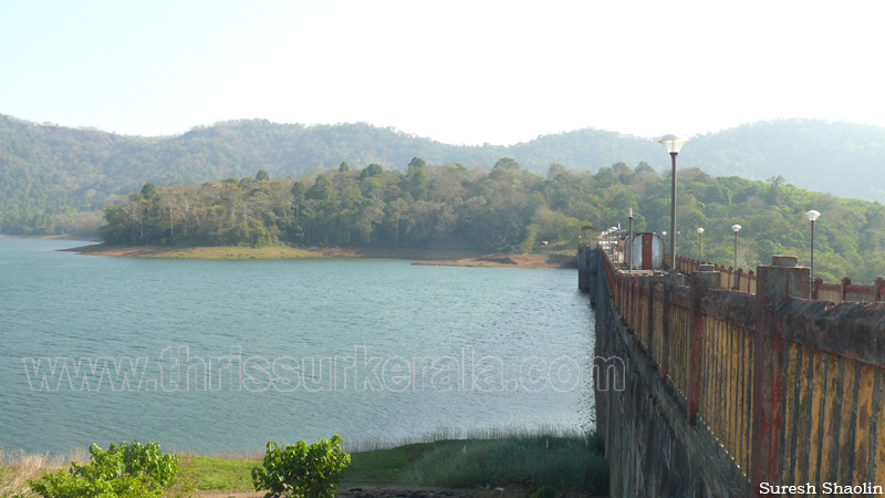 chimmini-dam-thrissur (4)